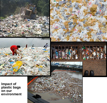 Environmental Impact of Plastic Grocery Bags