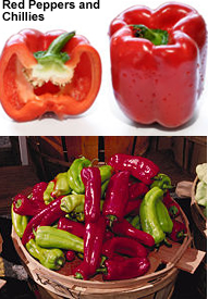 Peppers and Chillies