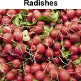 Radishes