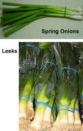 Spring Onions & Leeks
