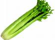 Celery