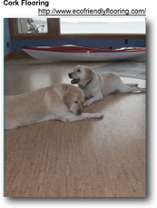 Cork Flooring