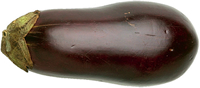 Eggplant