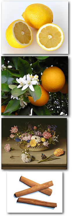 Natural Room Deodorizers