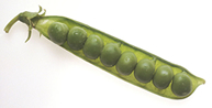 Peas